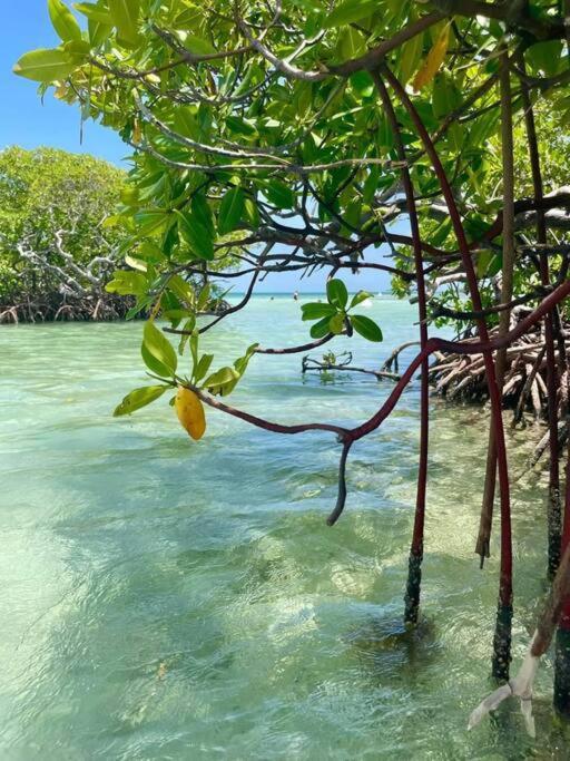 Les Pieds Dans L'Eau Chez Syl Διαμέρισμα Le Moule Εξωτερικό φωτογραφία