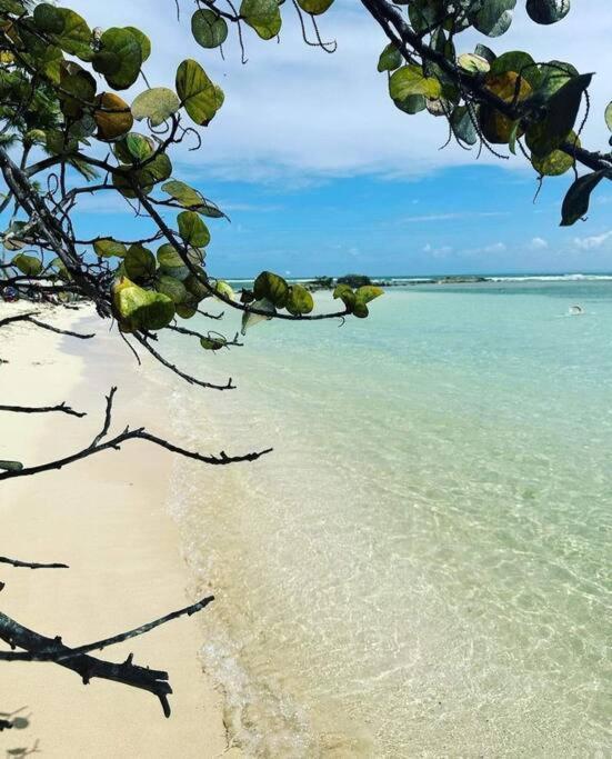 Les Pieds Dans L'Eau Chez Syl Διαμέρισμα Le Moule Εξωτερικό φωτογραφία